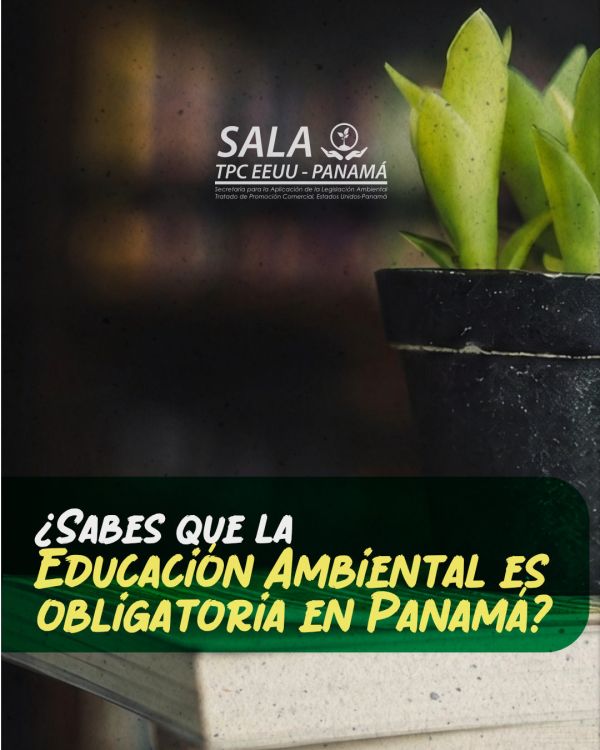 sala_seem feed on instagram
