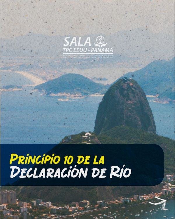sala_seem feed on instagram