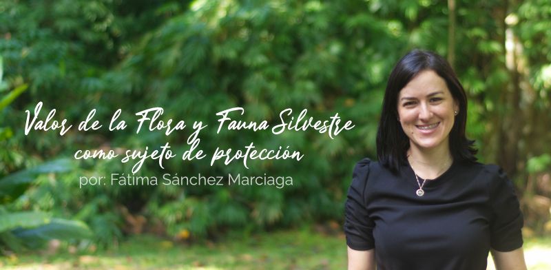 Valor de la Fauna y Flora Silvestre como Sujeto de Protección