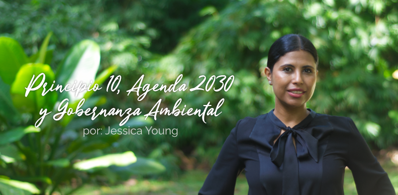 Principio 10, Agenda 2030 y Gobernanza Ambiental