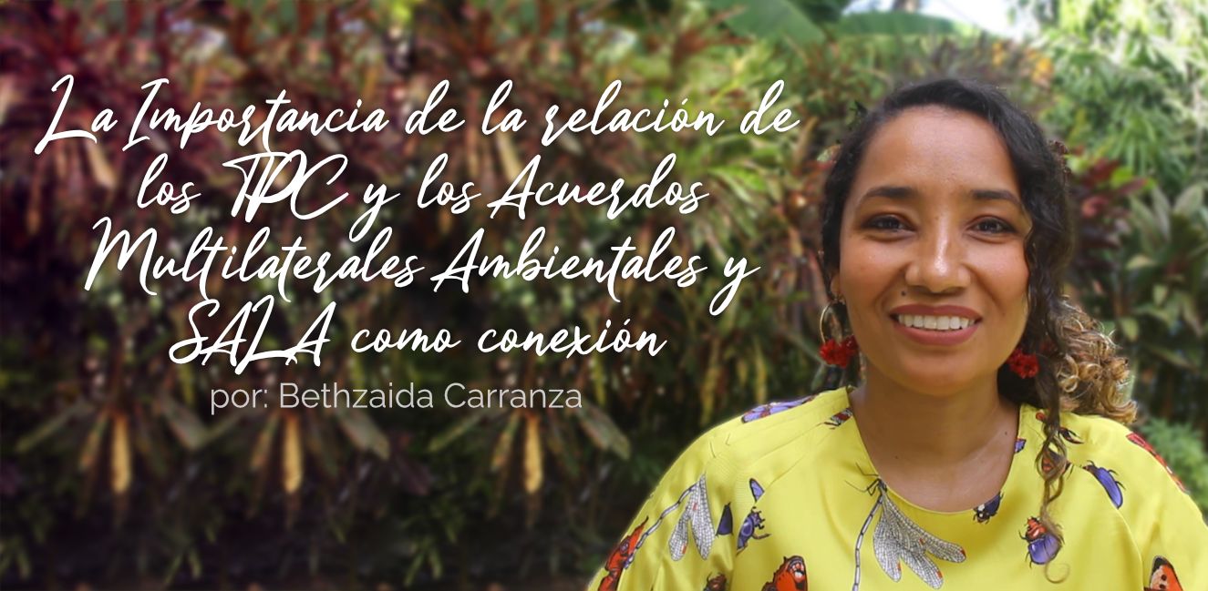 Importancia de la relación de los Tratados de Promoción Comercial y los Acuerdos Multilaterales Ambientales y la función de la Secretaría para la Aplicación de la Legislación Ambiental (SALA), como facilitadora de estos procesos de conexión.