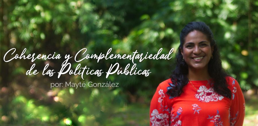 Coherencia y complementariedad de las políticas públicas, reto inminente
