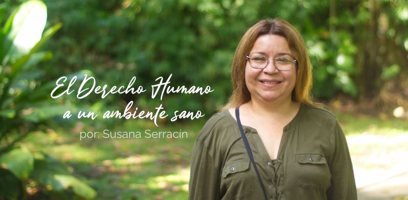 El Derecho Humano a un ambiente sano